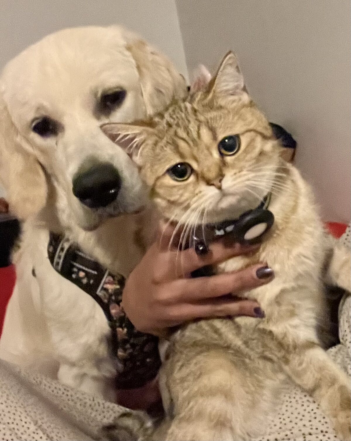 Akela and Dee posing together